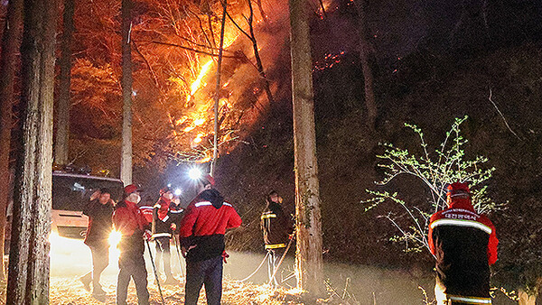 2023년 대전 서구 산직동에서 발생한 산불 현장   / 사진= 대전시의회