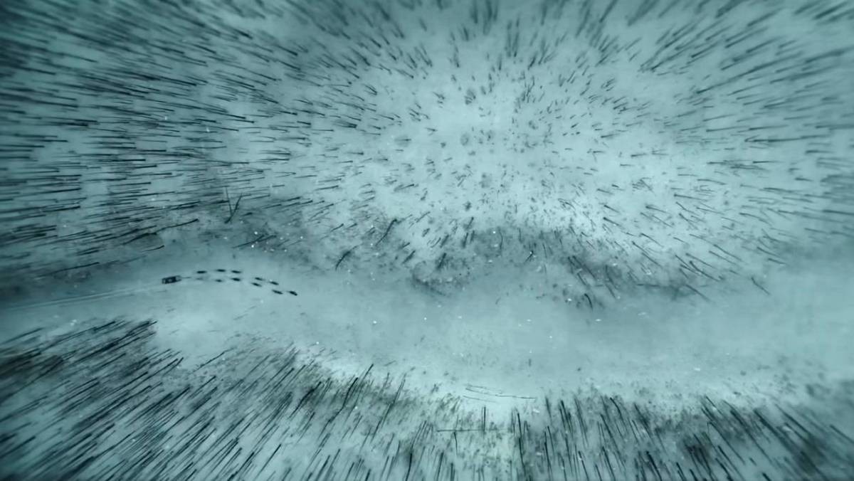 영화 '토고' 예고편 중 한 장면. / 유튜브 'KinoCheck.com'