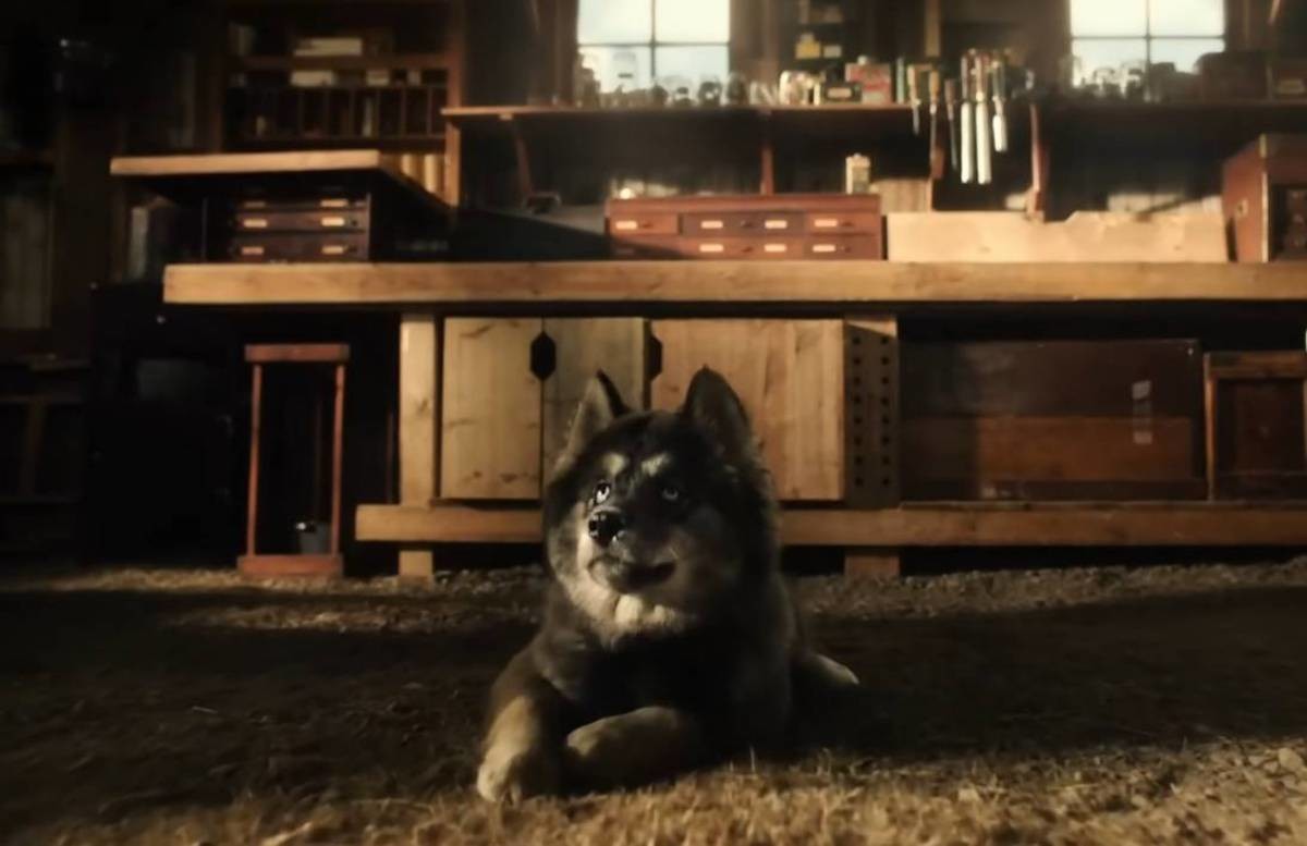 영화 속 토고 어릴 적 모습. / 유튜브 'KinoCheck.com'