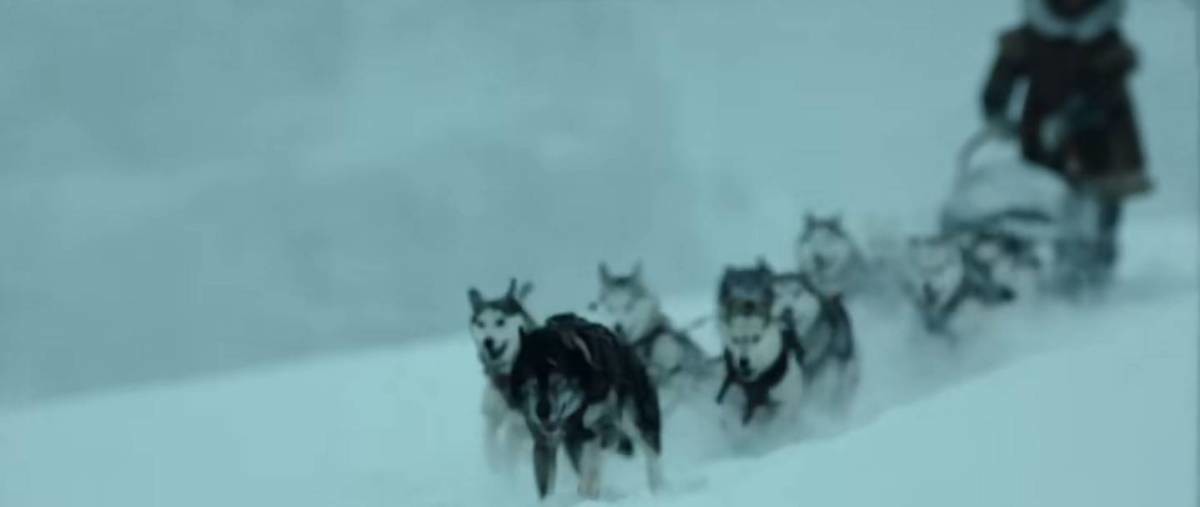 레온하드 세팔라와 그의 개썰매팀 선두견 토고가 목숨을 걸고 알래스카 툰드라의 위험 지역을 건너는 이야기를 그린 영화 '토고'. / 유튜브 'KinoCheck.com'
