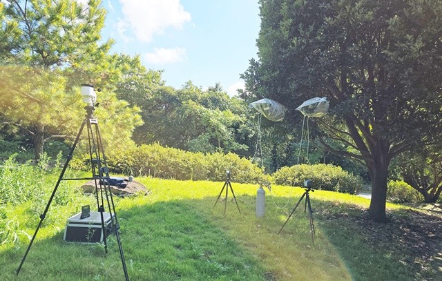 난대숲 피톤치드 발산추이 연구-테들러백 활용, 생달나무 발산 공기포집