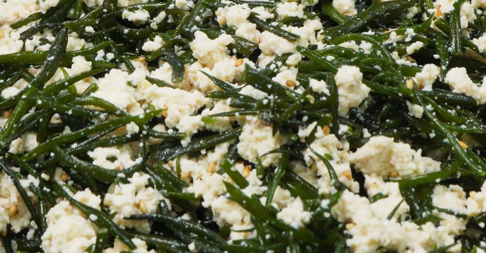 유튜브 '팔숙이 palsook'