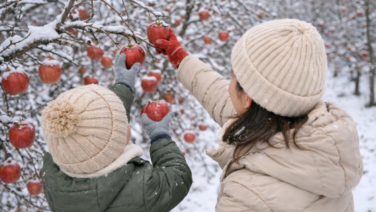 내용 이해를 돕기 위해 AI로 생성한 이미지.