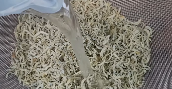 유튜브 '이 남자의 cook'