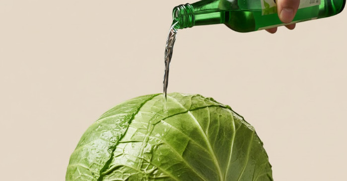 기사의 이해를 돕기 위한 AI 생성 이미지