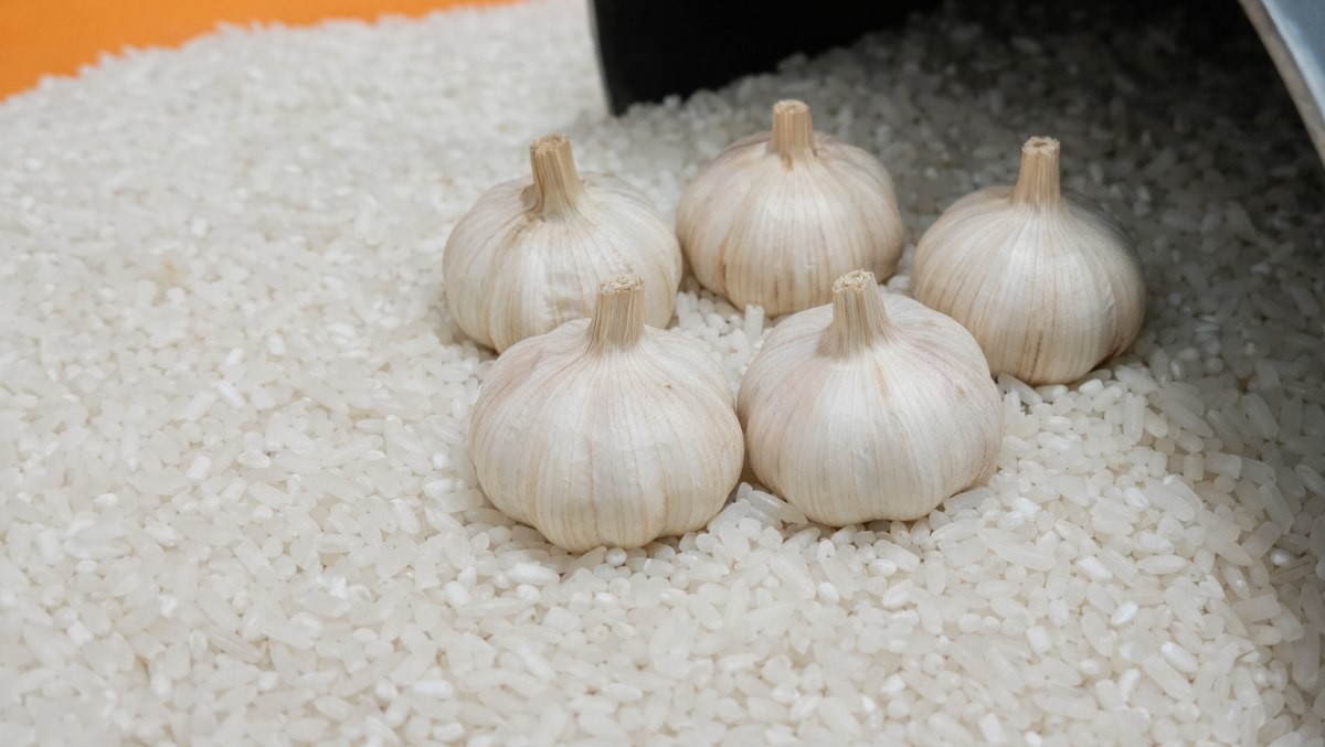 기사 이해를 돕기 위해 AI로 제작된 이미지