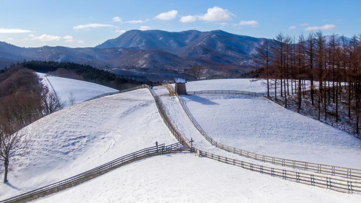 평창 삼양목장. / cstrike-shutterstock.com