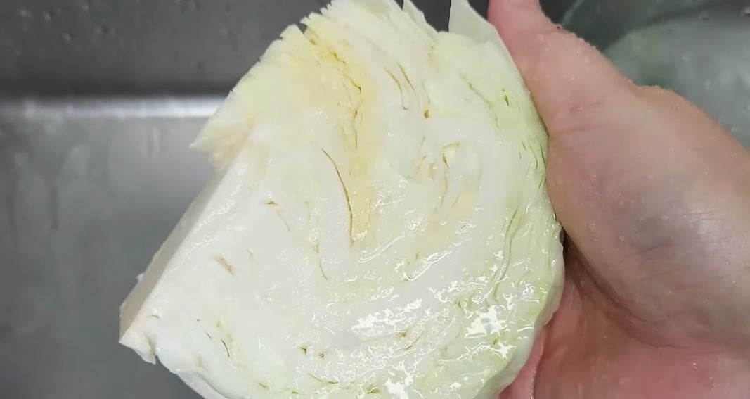 물에 간단히 세척해도 양배추는 충분히 안심하고 먹을 수 있다. / 유튜브 '코코네'