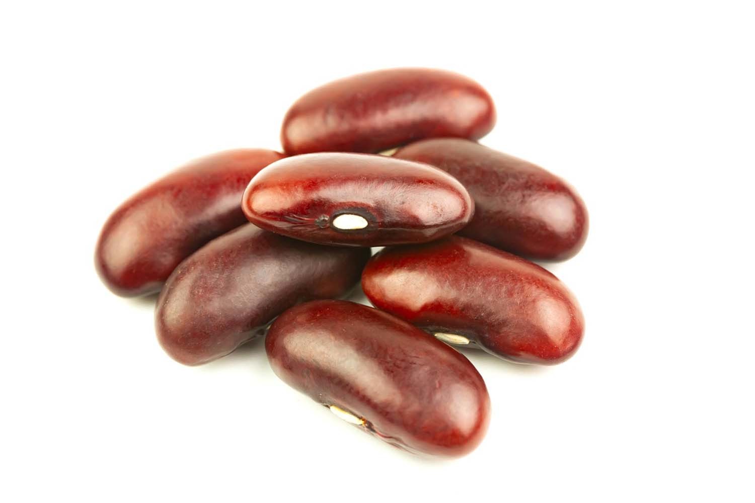 강낭콩 / 픽사베이