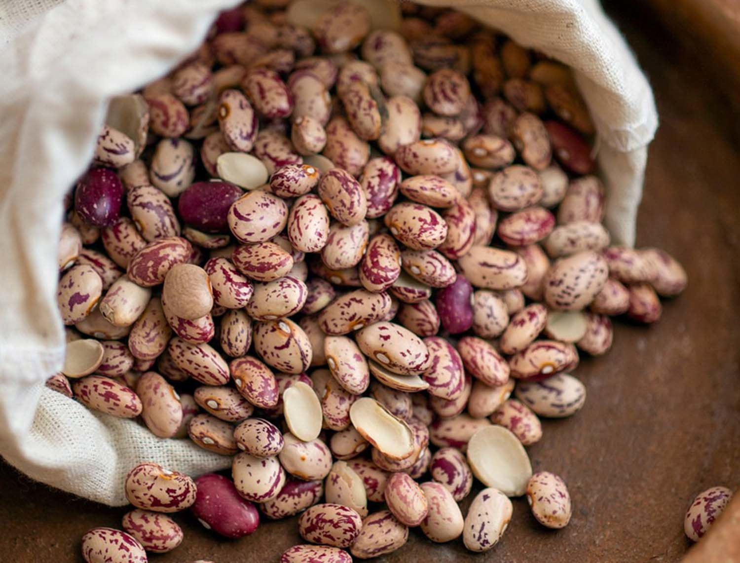 강낭콩 / 픽사베이