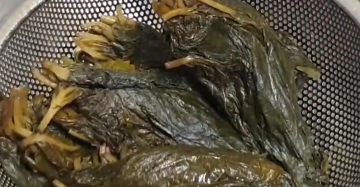 깻잎은 일단 깨끗이 씻어 삭혀야 한다. / 유튜브 '상아의홈'