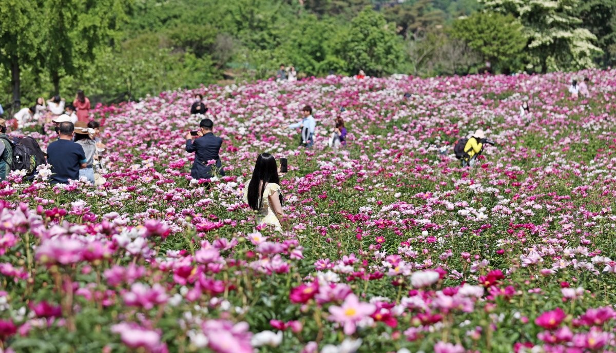 붕어섬 생태공원. / 뉴스1