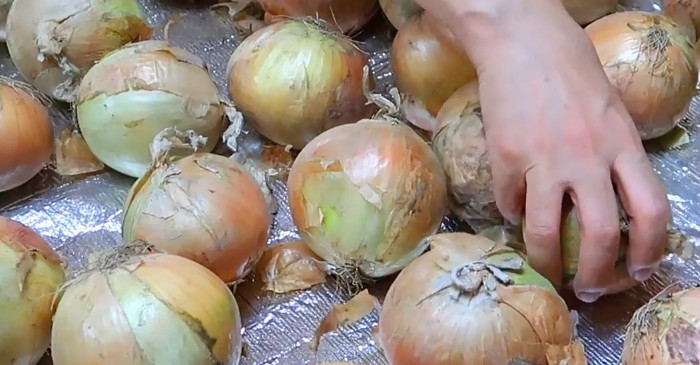 유튜브 '가루씨의 집밥Garussi home cooking'