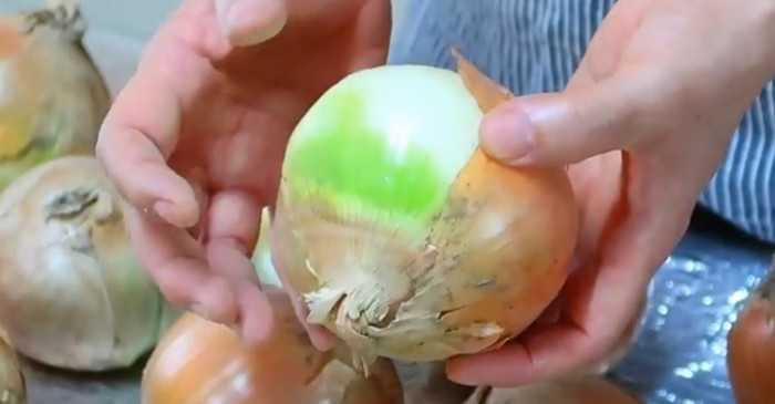 유튜브 '가루씨의 집밥Garussi home cooking'