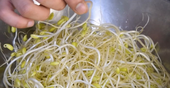 유튜브 '첫째아들'