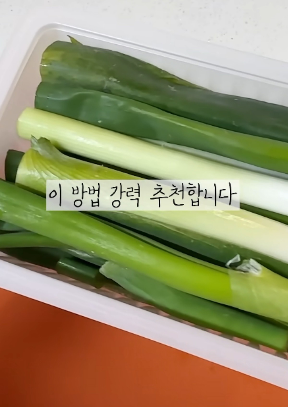 대파를 두부 용기에 보관하는 방법 / 유튜브 채널 '쓸모집'