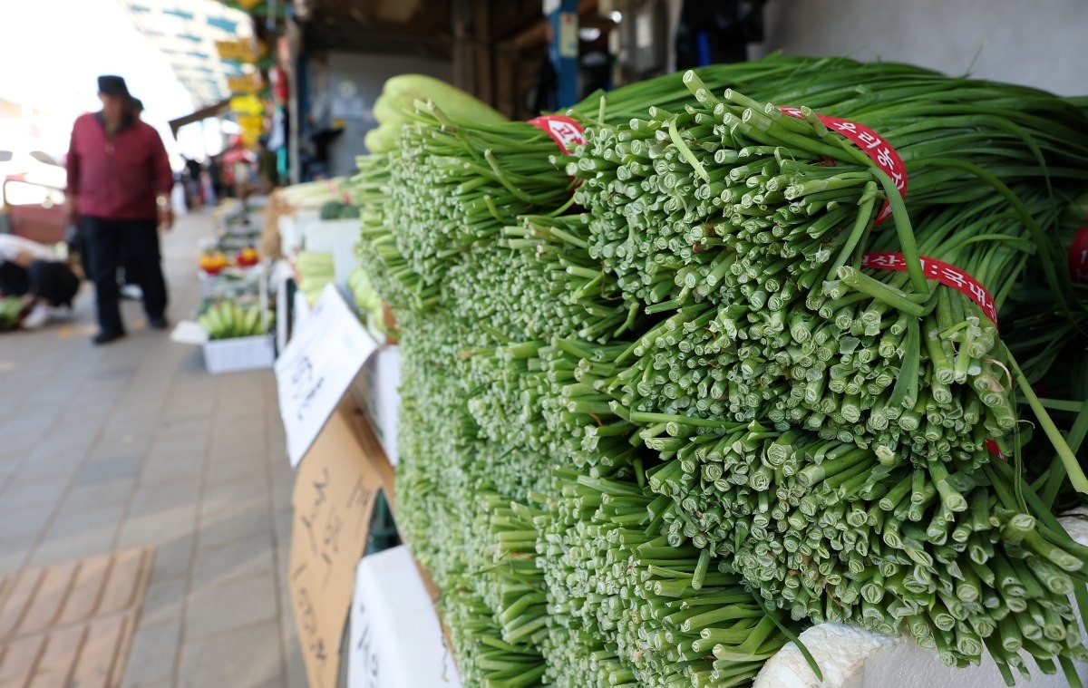 부추 자료사진 / 연합뉴스