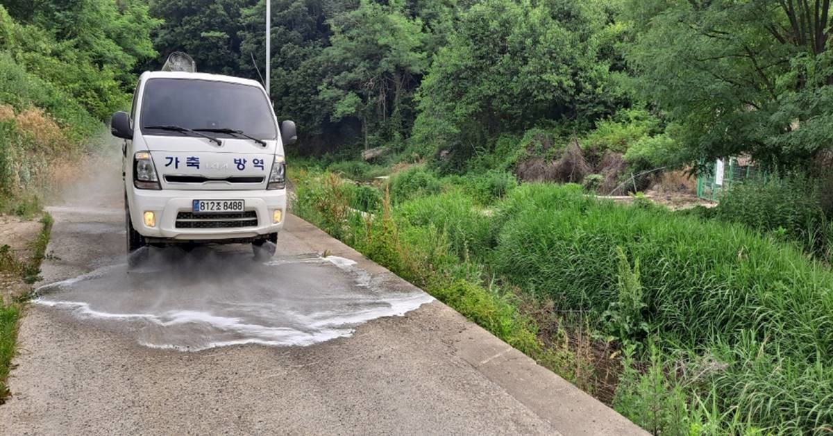 방역 자료사진/경북도