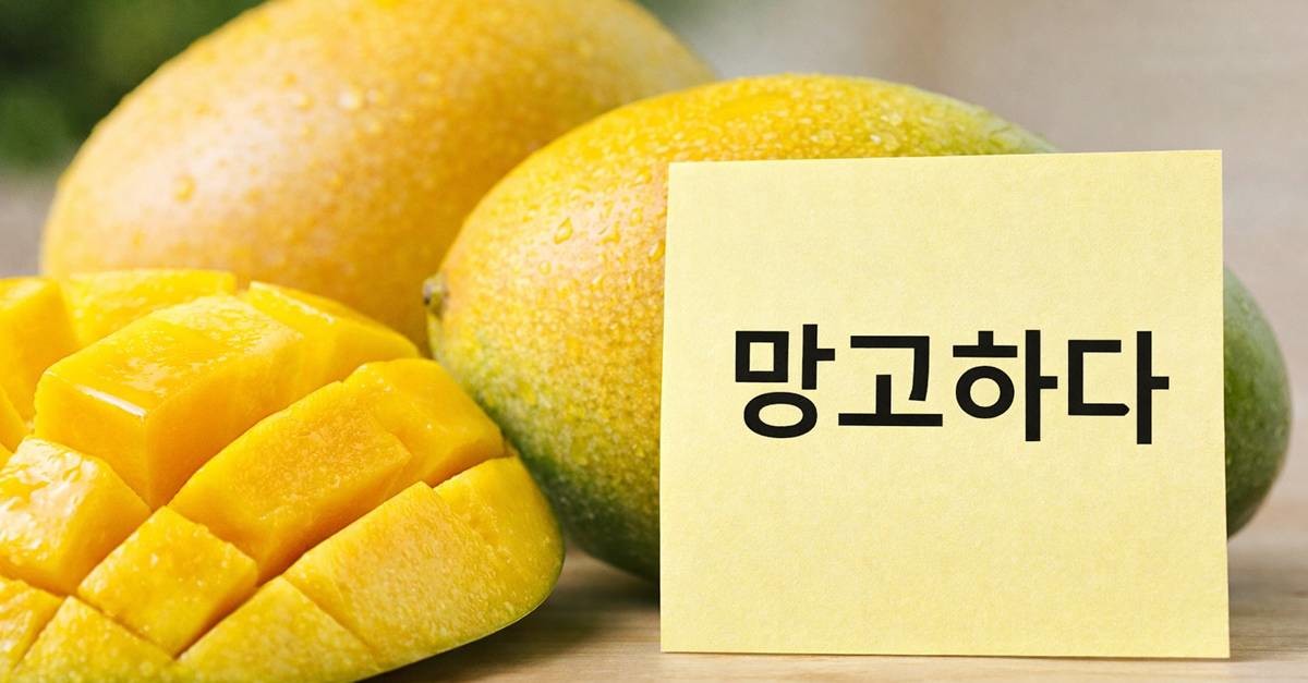 기사에 대한 이해를 돕기 위해 AI 툴로 제작한 자료 사진