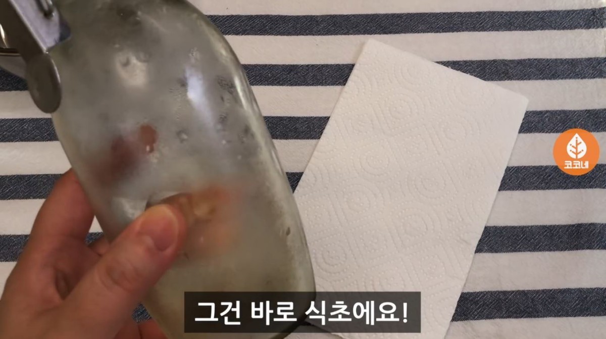 식초와 키친타월의 모습. / 유튜브 '코코네'
