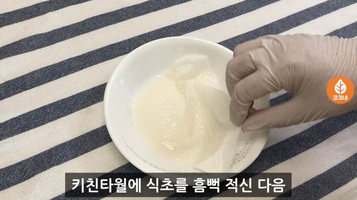 키친타월을 식초에 적시는 모습. / 유튜브 '코코네'
