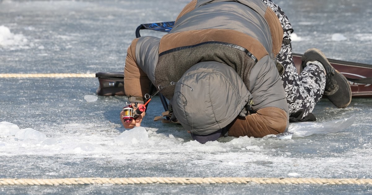 얼음나라 화천 산천어축제를 찾은 방문객이 얼음낚시를 하고 있다. / 뉴스1