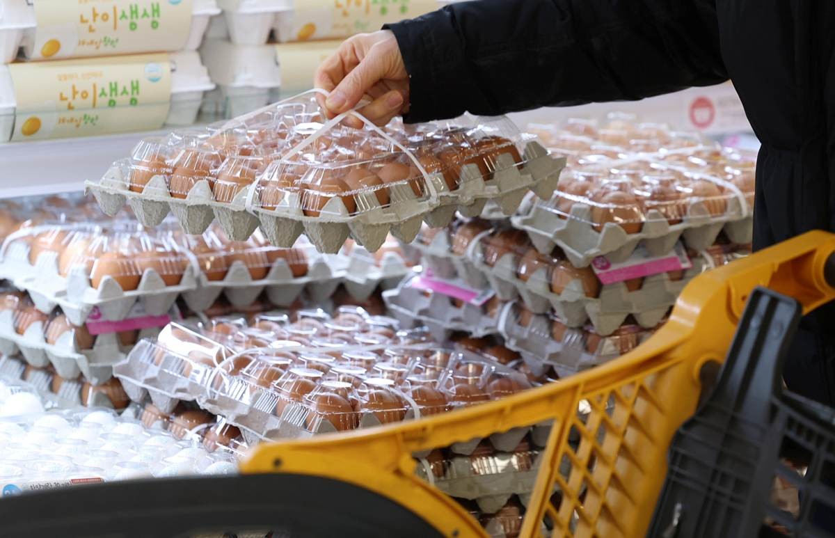 마트에서 판매 중인 계란. / 뉴스1