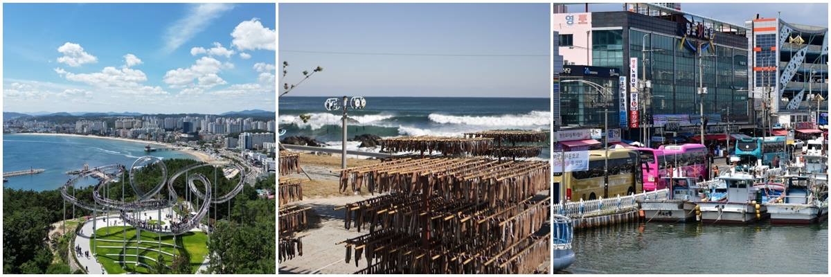 (왼쪽부터)포항의 랜드마크인 스페이스워크, 겨울철 대표 별미인 구룡포 과메기 덕장, 포항 최대 전통시장인 죽도시장/포항시