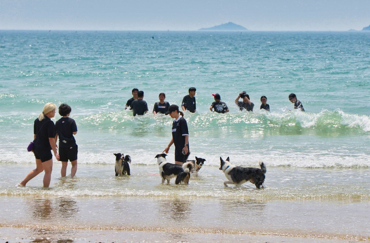 태안 주요 관광지 / 태안군
