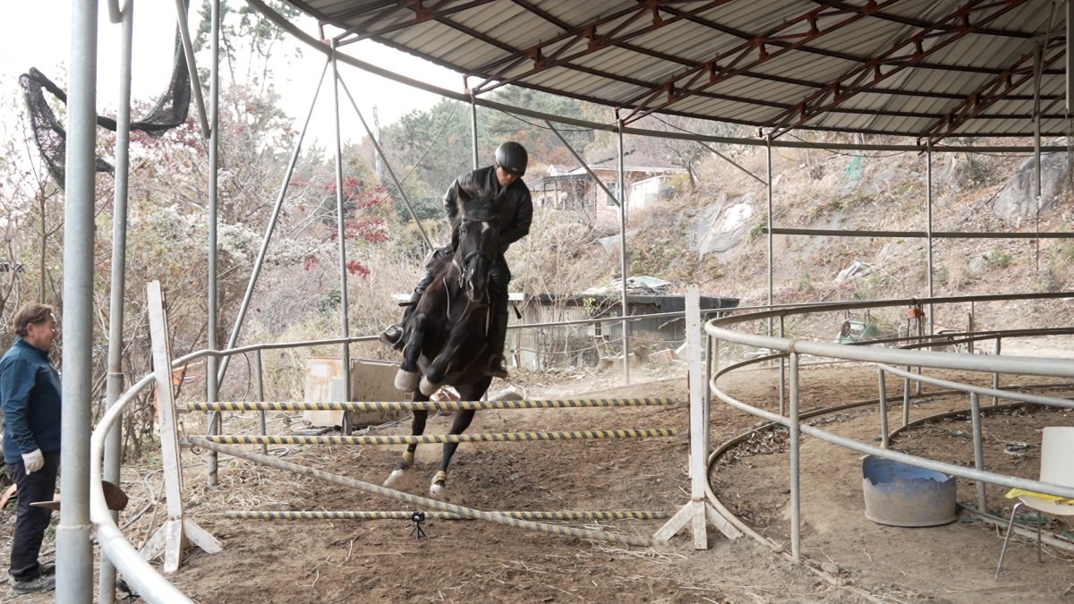 EBS1 '한국기행' 미리보기 페이지에서 제공하는 '도약하라! 카우보이' 편 자료 사진. / EBS1 제공