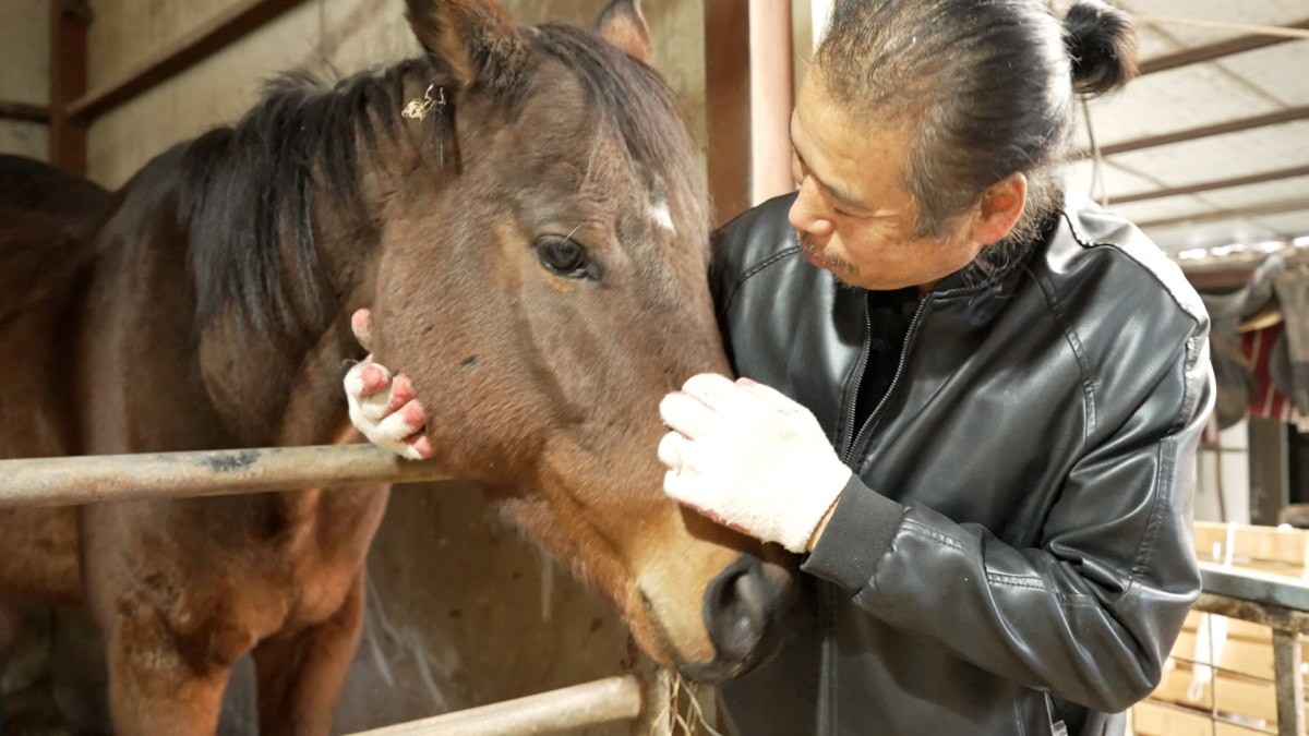 EBS1 '한국기행' 미리보기 페이지에서 제공하는 '도약하라! 카우보이' 편 자료 사진. / EBS1 제공