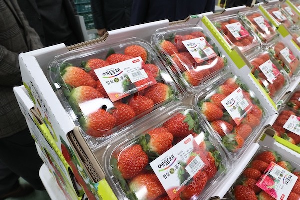 임실N딸기 / 임실군