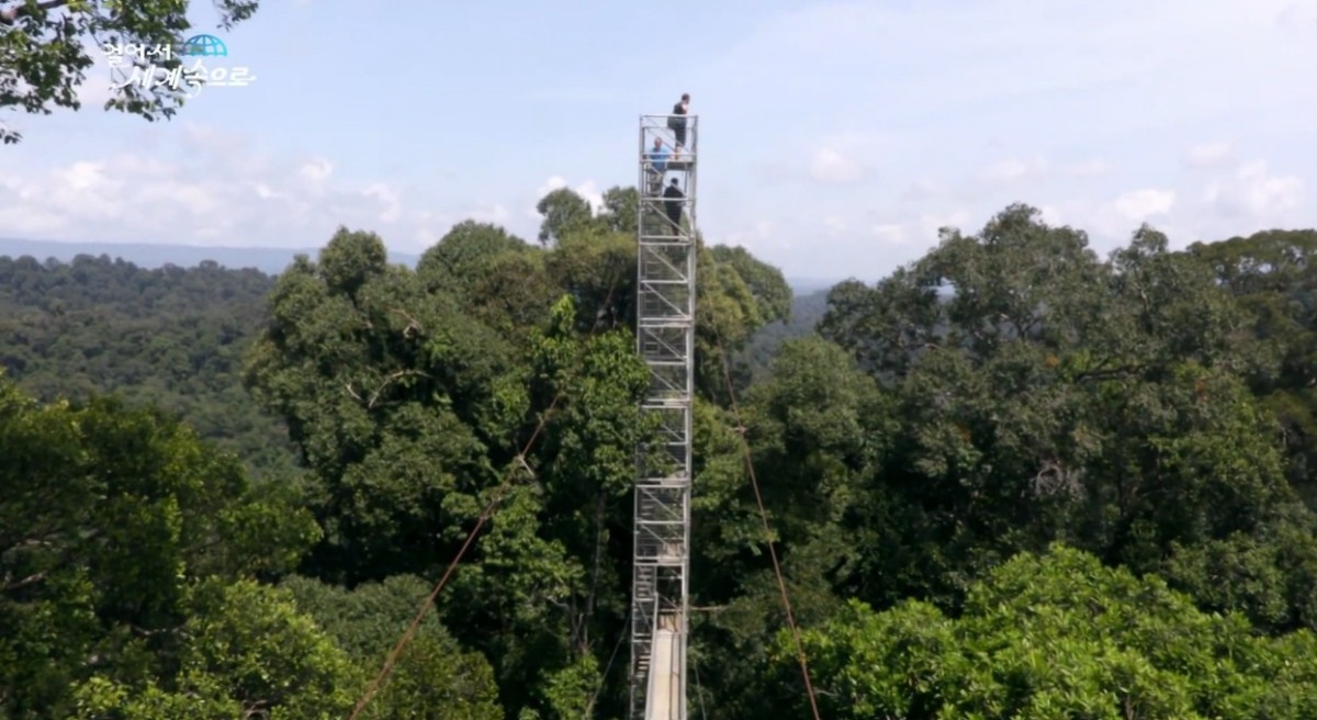 템부롱 캐노피 워크웨이. / 유튜브 'KBS 트래블-걸어서 세계속으로'