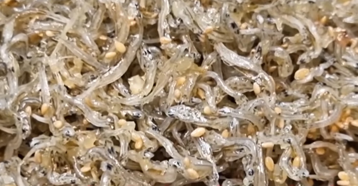 유튜브 '김대석 셰프TV'