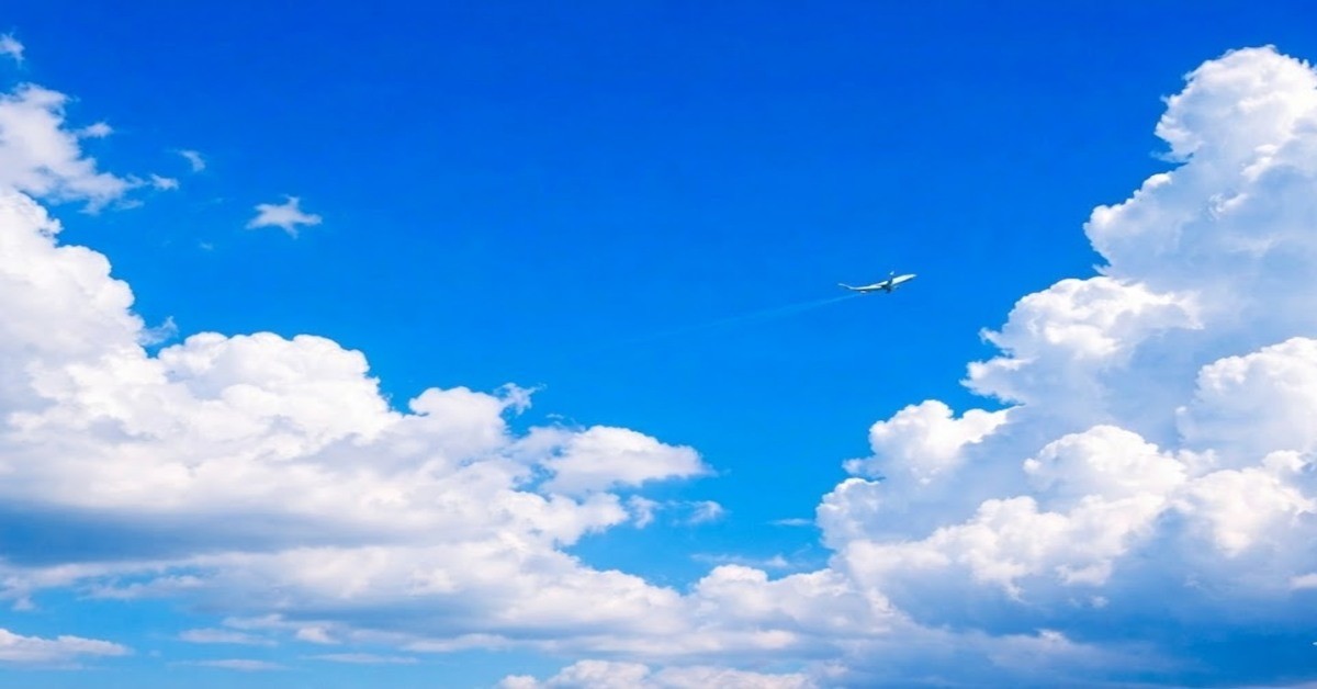 기사 내용을 바탕으로 한 AI 자료 이미지