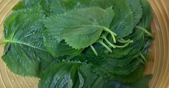 유튜브 '엄마의 요리백과'