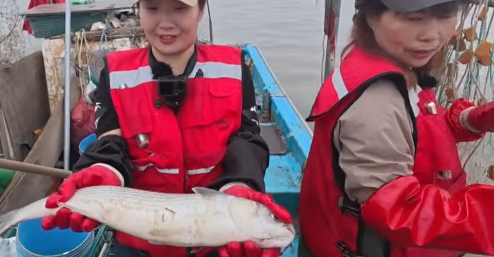 유튜브 'EBSDocumentary (EBS 다큐)'