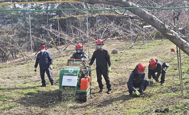 보성군 영농부산물 파쇄지원단이 한 과수 농가에서 전정 가지를 파쇄기에 넣어 처리하고 있다. 파쇄된 부산물은 천연 퇴비로 활용된다.