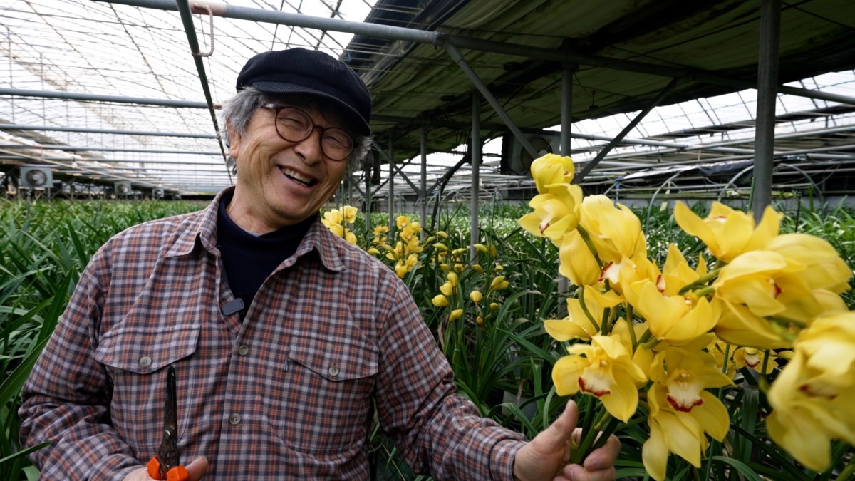 EBS1 '한국기행' 미리보기 페이지에서 제공하는 '꽃을 든 DJ' 편 자료 사진. / EBS1 제공