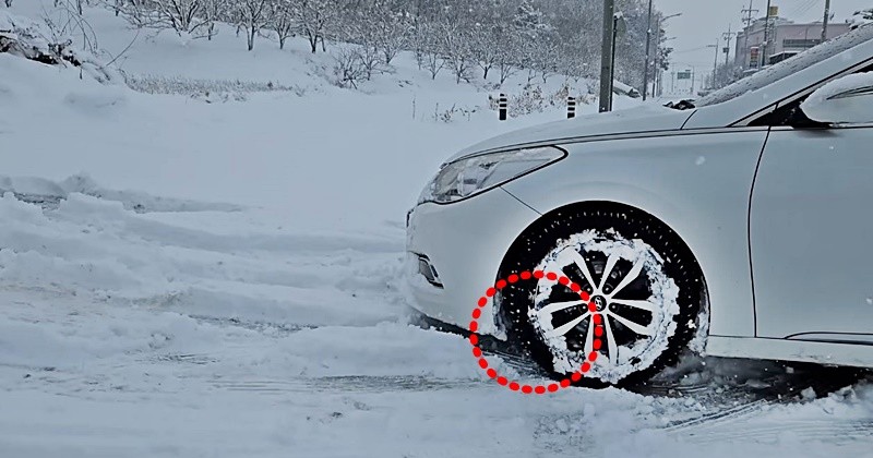 유튜브 '차개미'