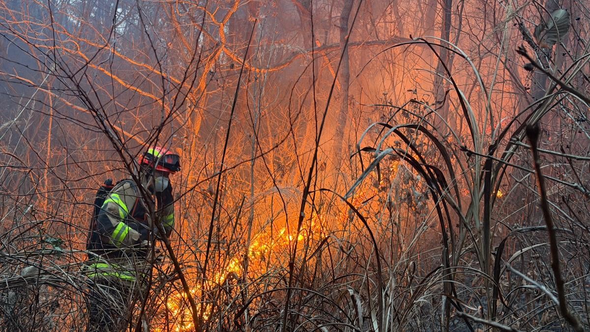 10일 오후 3시 14분쯤 경북 의성군 의성읍 비봉리의 한 야산에서 대형 산불이 발생했다. / 뉴스1