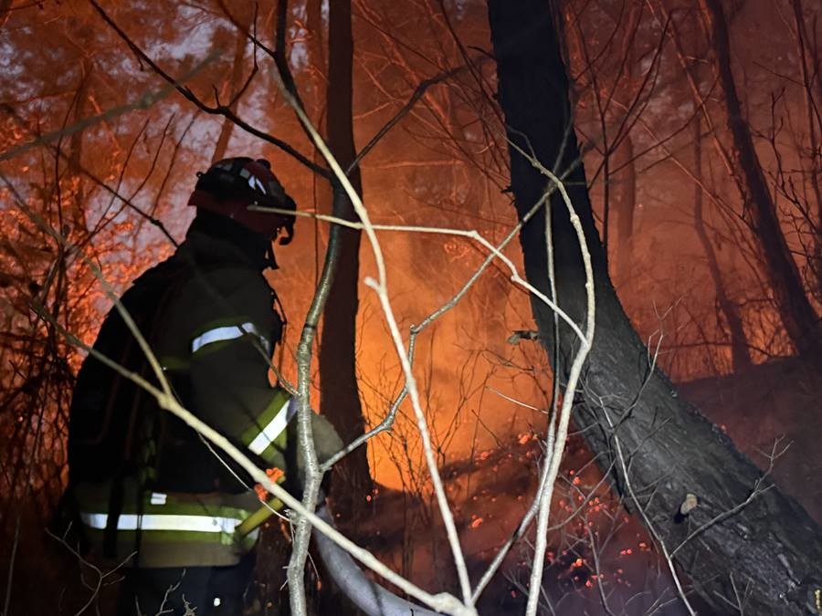 경북 의성 산불 현장 진화 모습/경북소방