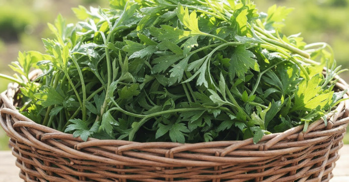 기사의 이해를 돕기 위한 AI 생성 이미지