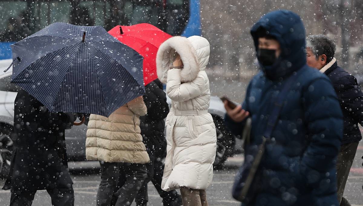 극심한 한파 / 뉴스1