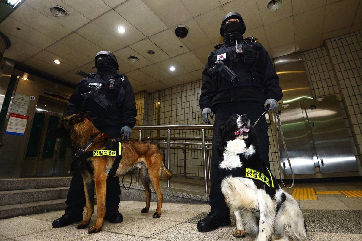 폭발물 탐지견과 함께 수색나선 경찰 특공대 자료 사진 / 뉴스1
