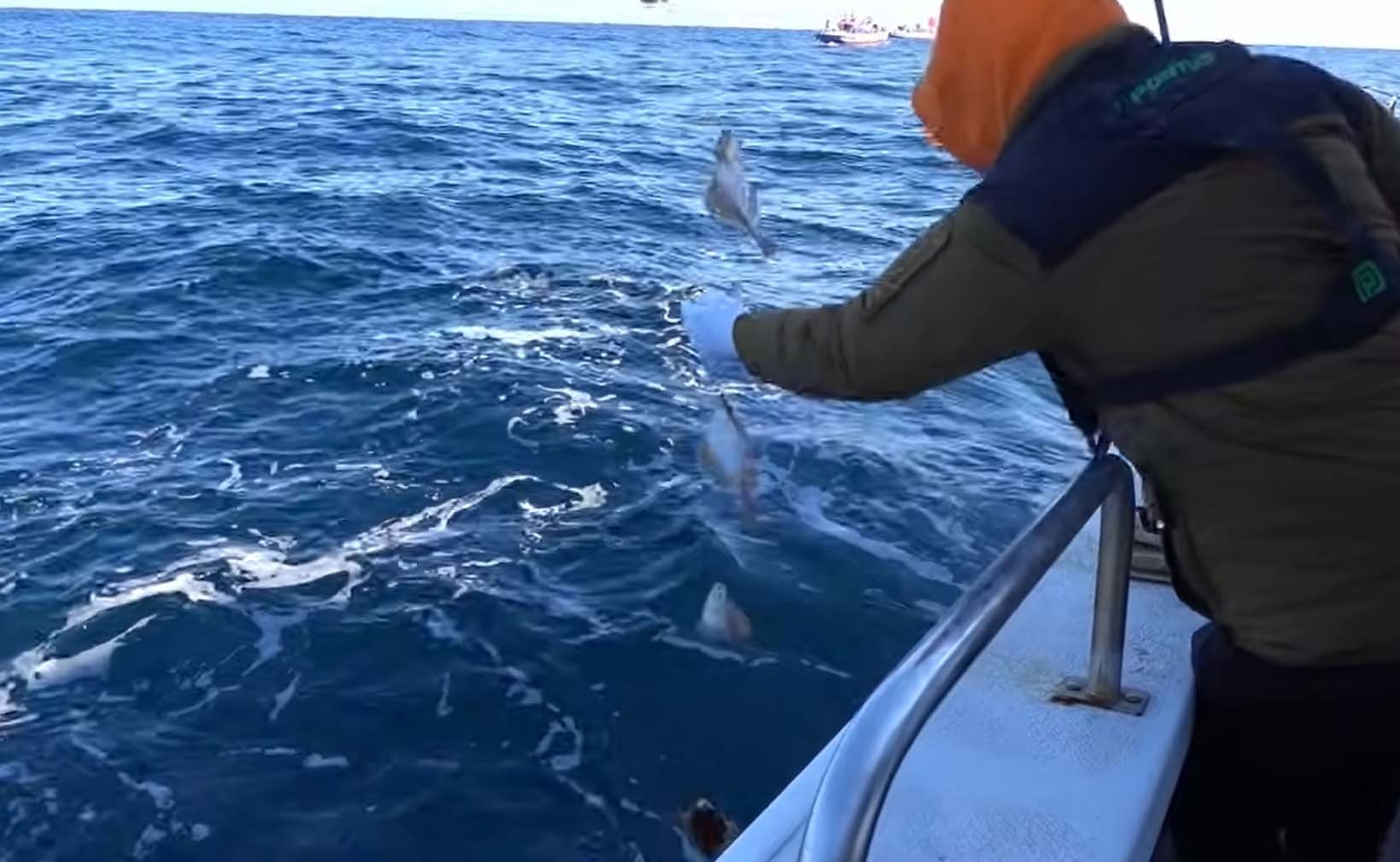 용가자미 / '리얼깽TV' 유튜브