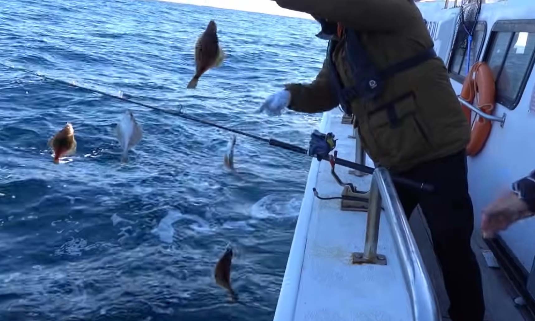 용가자미 / '리얼깽TV' 유튜브