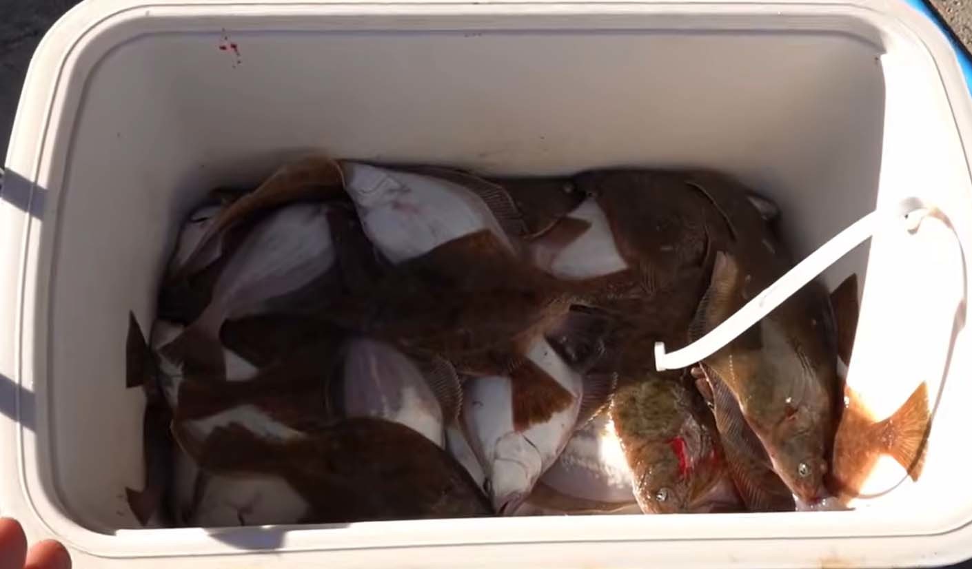 쿨러에 가득 담긴 용가자미 / '리얼깽TV' 유튜브