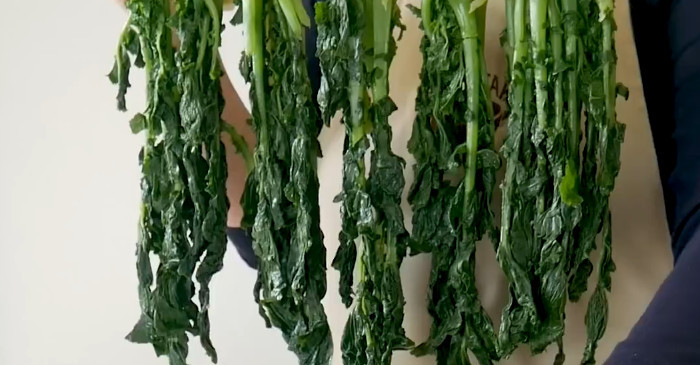 유튜브 '뚝딱Tooktak'