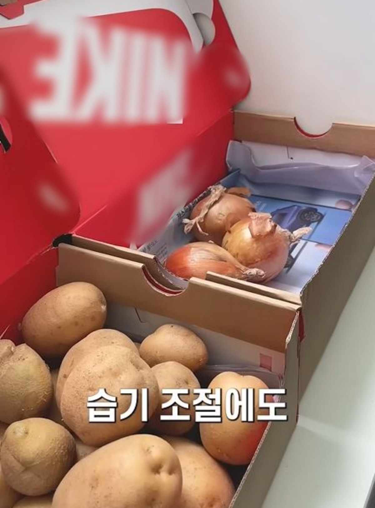 채소 보관용으로 활용되고 있는 신발 박스. / 유튜브 '봄집사'